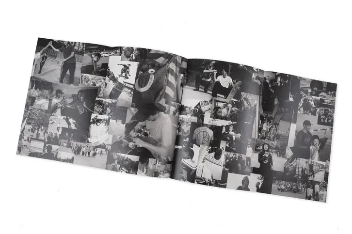 Everything Is Normal Book | Polar