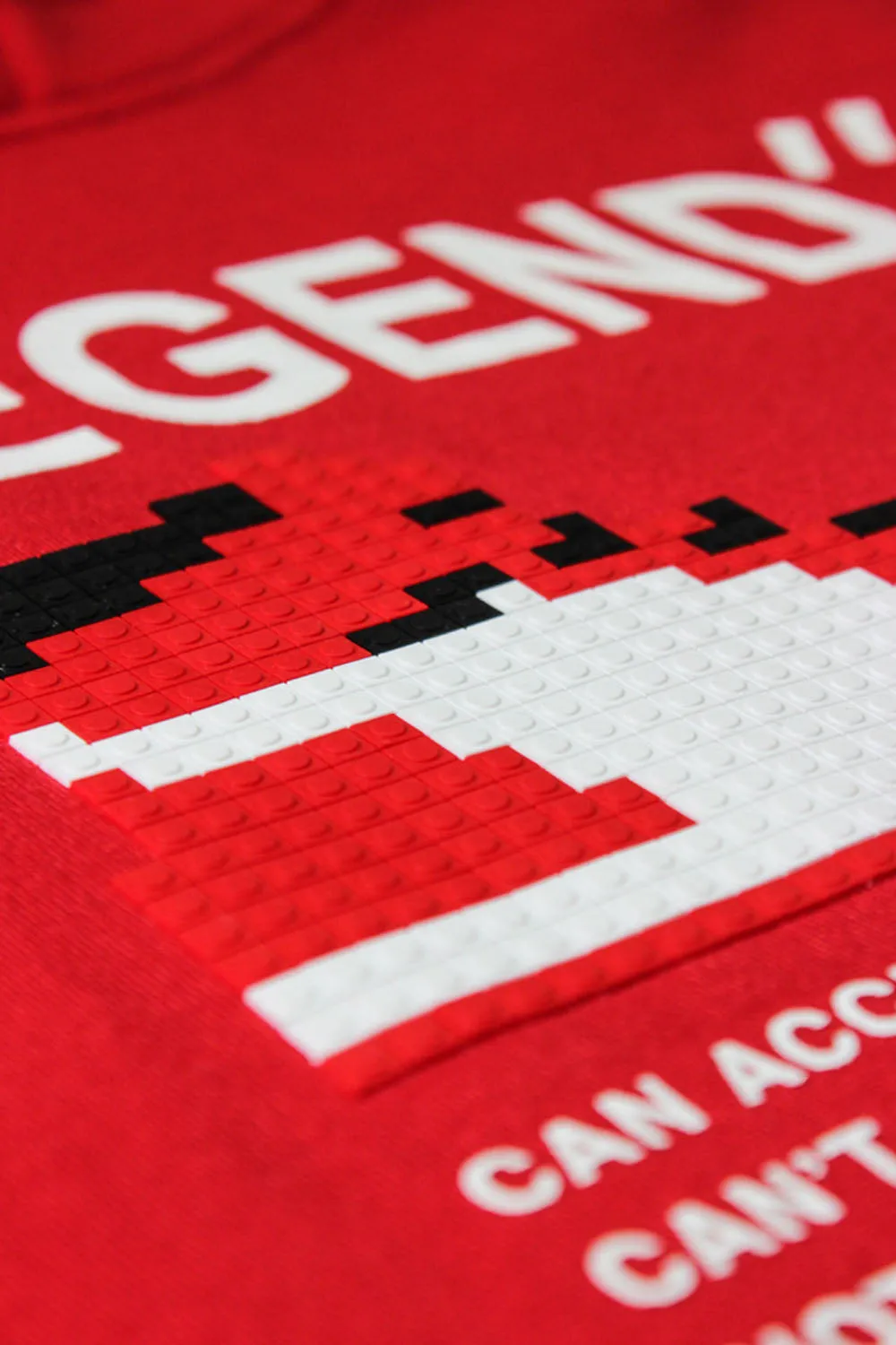 Legend Pixel Shoe Fleece Hoodie
